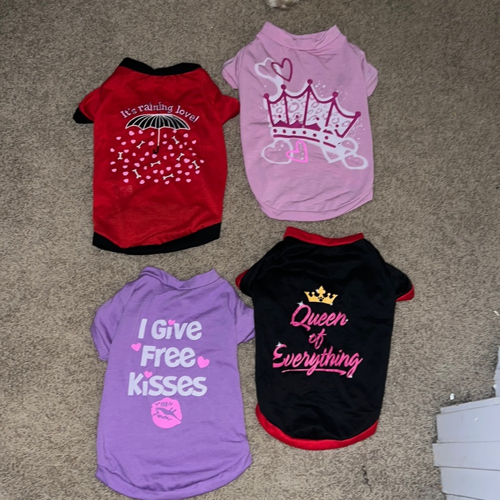 Small dog shirts. Bought for Frenchie. Barely worn.
